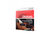 13-56 Medium, Flat Tops Phosphor Bronze Acoustic Guitar Strings 13-56 Medium, Flat Tops Phosphor Bronze Acoustic Guitar Strings